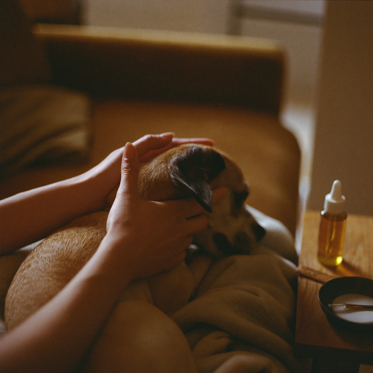 Pet Care collection