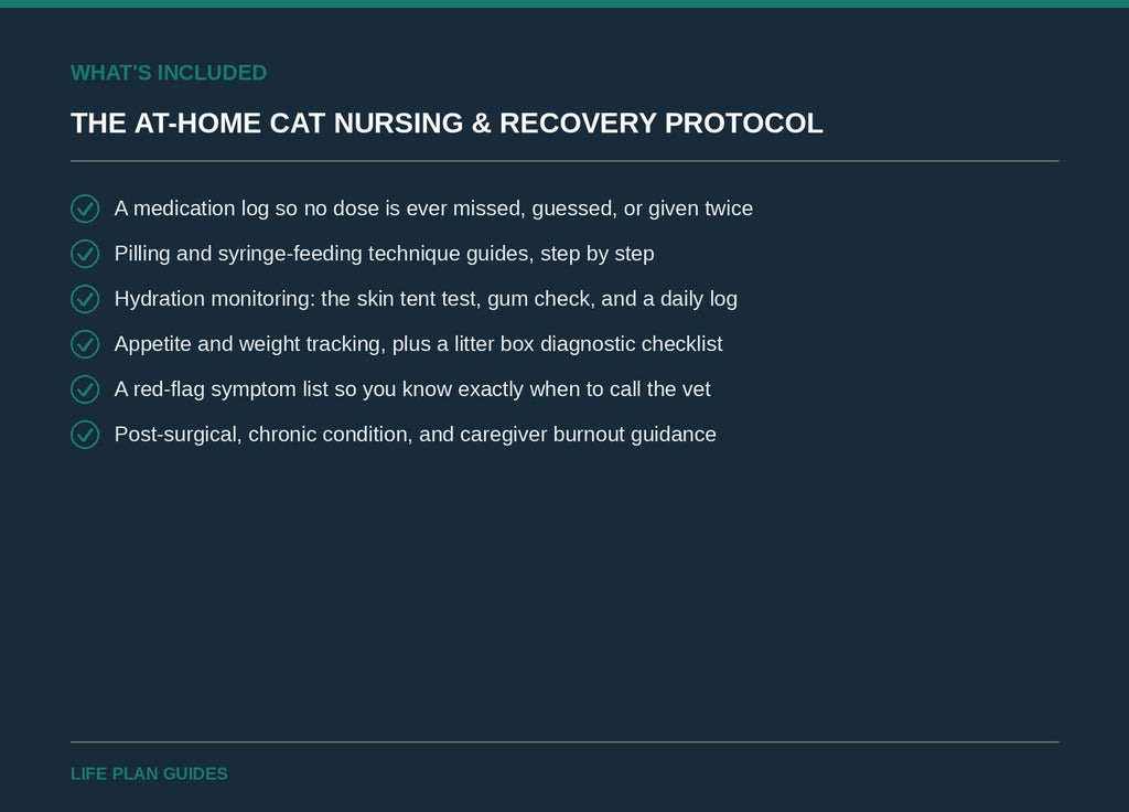 What's included in The At-Home Cat Nursing & Recovery Protocol