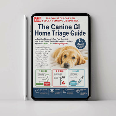 The Canine GI Home Triage Guide