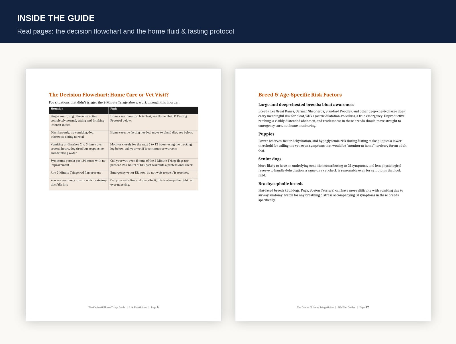 Inside the guide preview