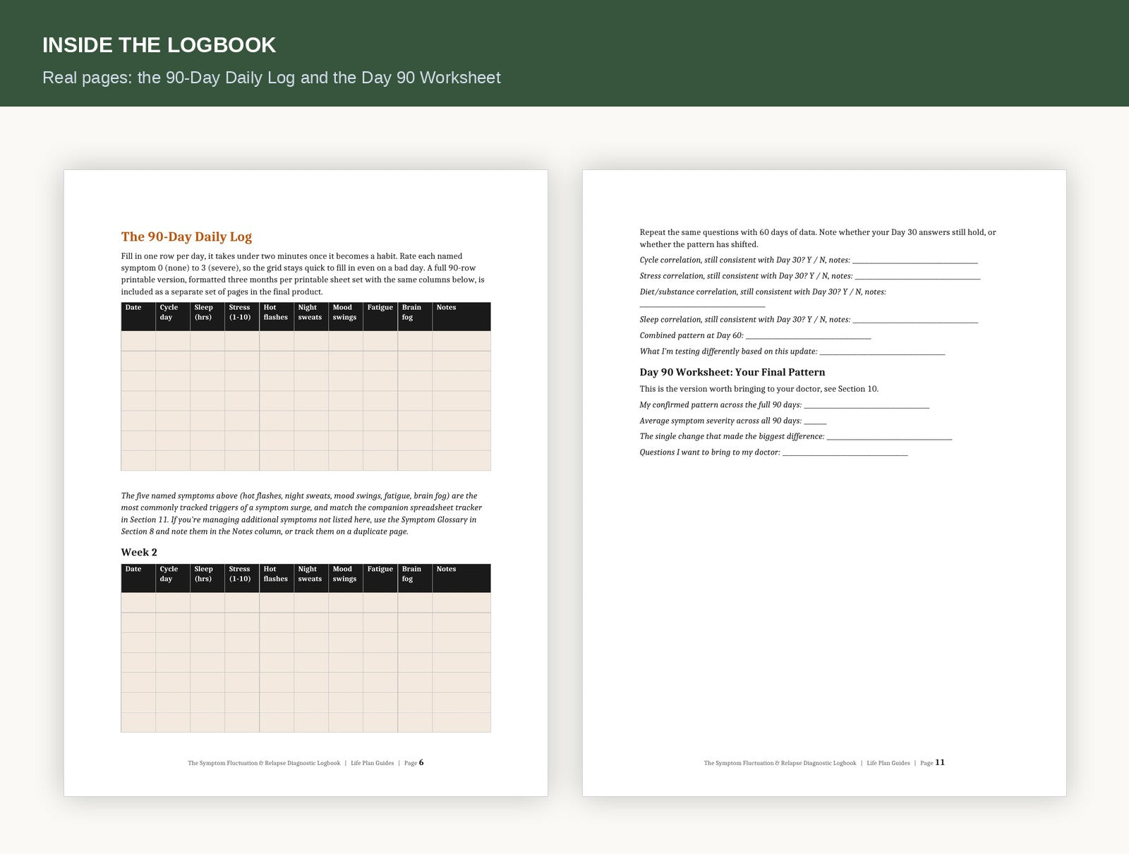 Inside the logbook preview