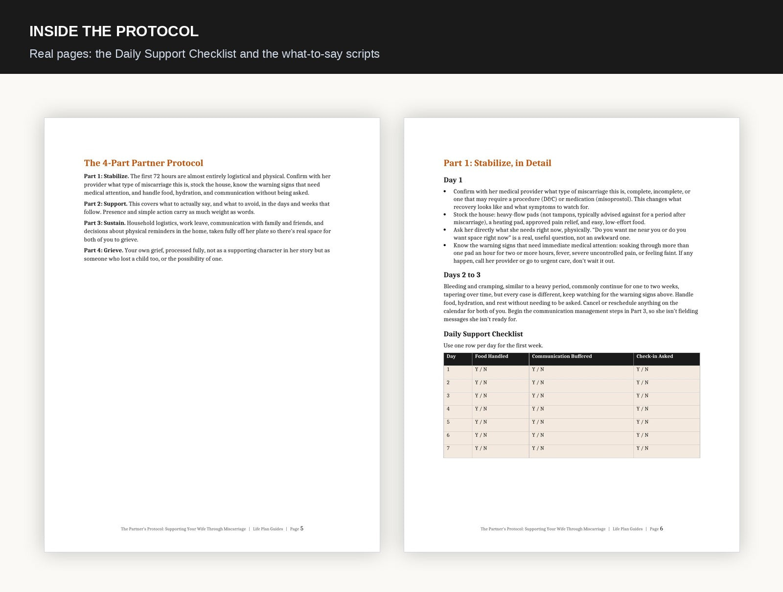 Inside preview of The Partner's Protocol