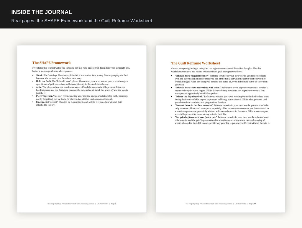 The Stage-by-Stage Pet Loss Recovery & Grief Processing Journal
